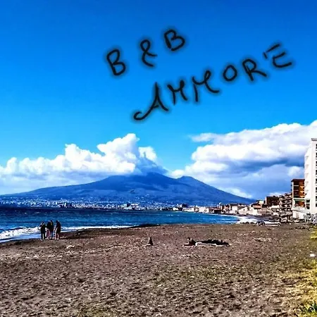 Ammore 4*